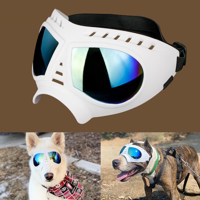 Soft Frame Puppy Glasses
