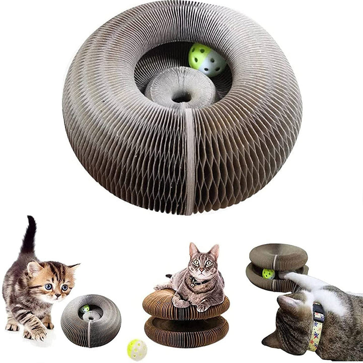 Cat Exerciser Scratch Toy